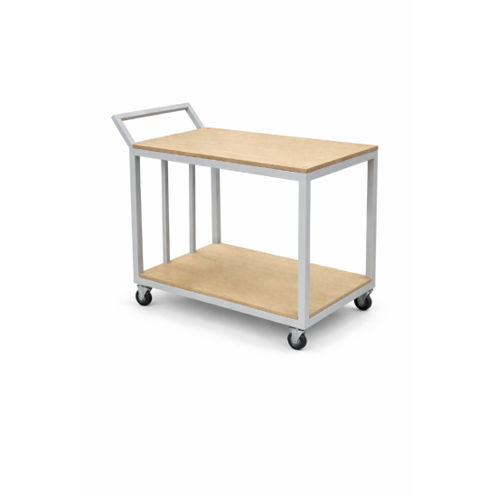 Segura Taşıma Arabası Özel 